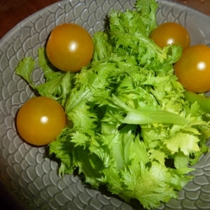 わさび菜とトマトのサラダ